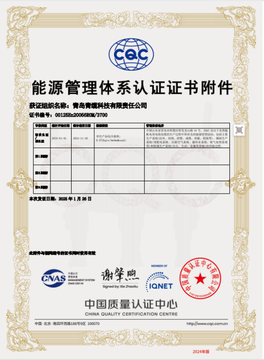 能源管理體系認證證書(圖2)